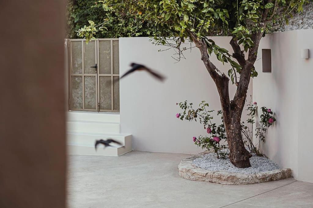 Lotusland, A Relaxing House At Amari Rethymno Villa Agia Fotini  Dış mekan fotoğraf